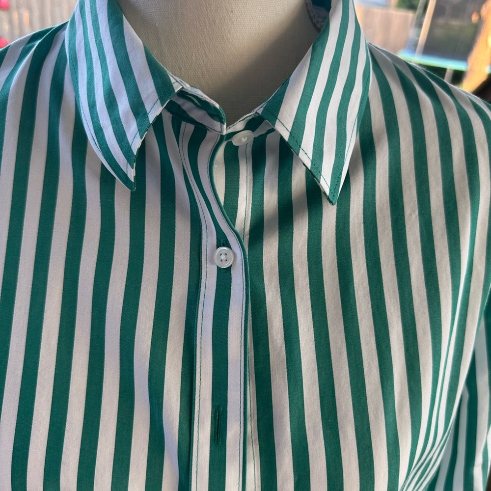 Lands' End Green and White Striped Shirt